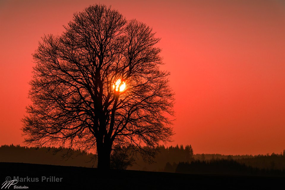 2014.03.07 184602 Sonnenuntergang Sachsenried 3000